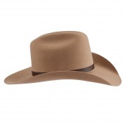 Basic Western Cowboy Hat
