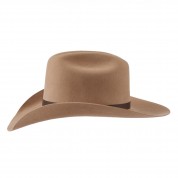 Basic Western Cowboy Hat