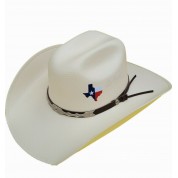Texas state sign style cowboy luxury hat.