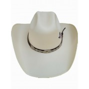Texas state sign style cowboy luxury hat.