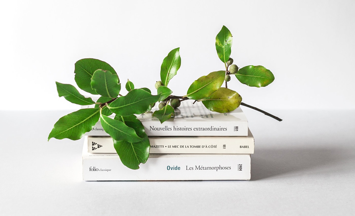 Going Green Is So Much Simpler Than Most People Think 